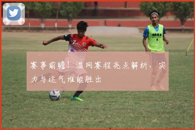 赛事前瞻！温网赛程亮点解析，实力与运气谁能胜出